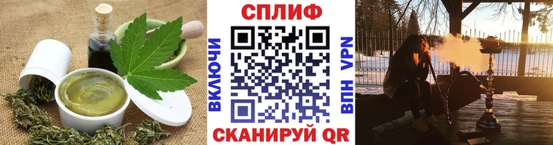Cannafood конопля  Кохма 