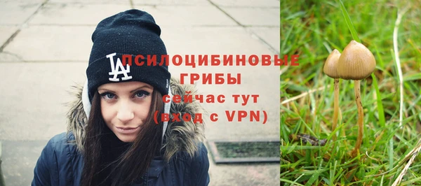 МДМА Сясьстрой