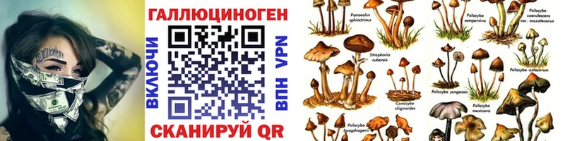 Псилоцибиновые грибы GOLDEN TEACHER Кохма