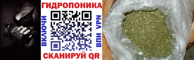 kraken зеркало  Кохма  Шишки марихуана индика  даркнет сайт 